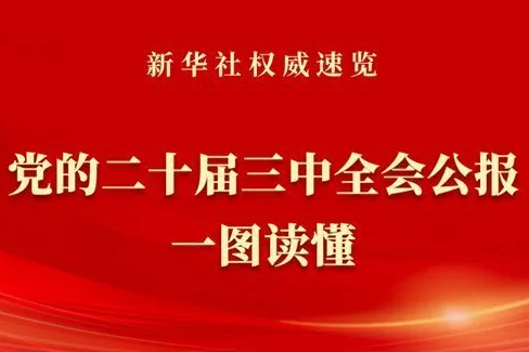 新华社权威速览 | 党的二十届三中全会公报一图读懂